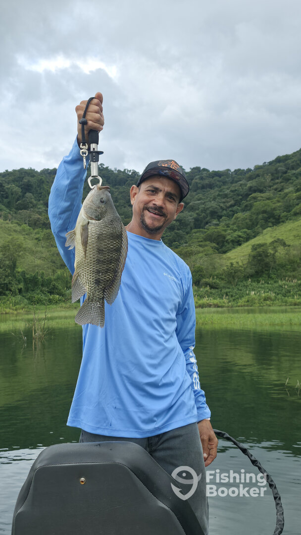 El Castillo Report Photo 0