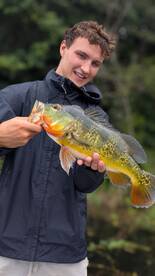 Gamboa Report Photo 1