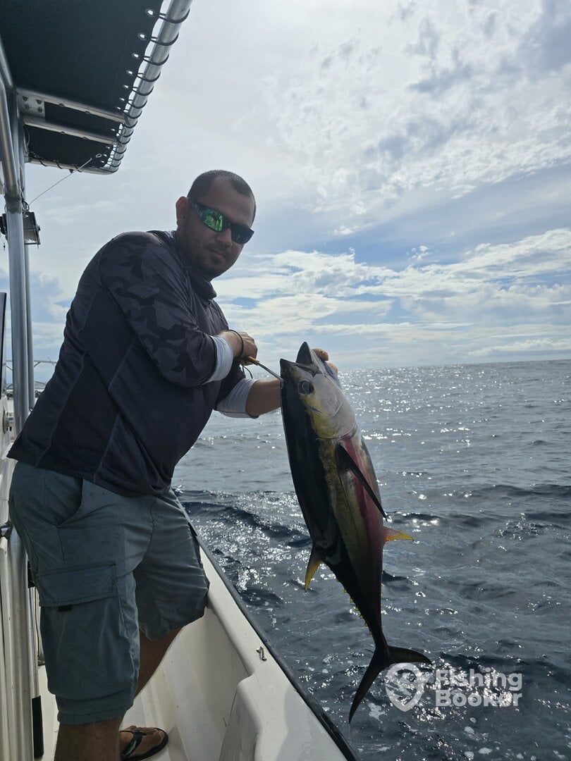 Golfito Report Photo 0