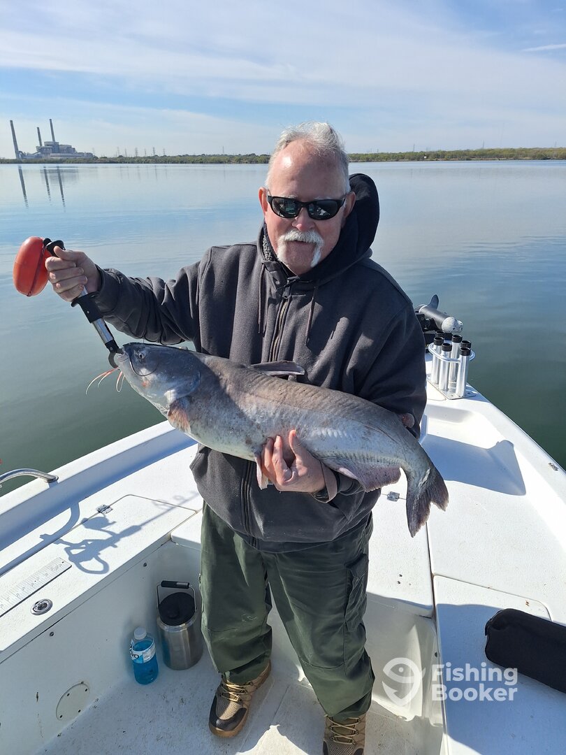 San Antonio Report Photo 0