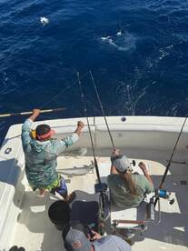 Puerto Aventuras Report Photo 1