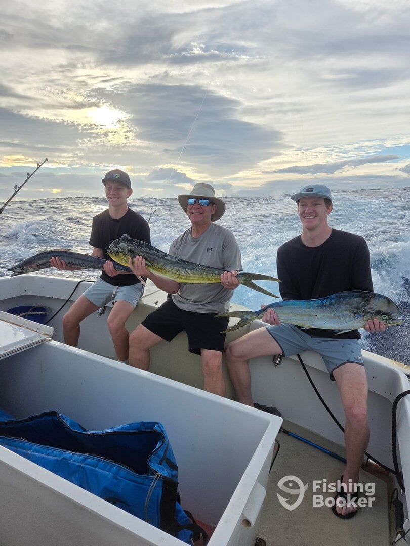 Hawaii Report Photo 0