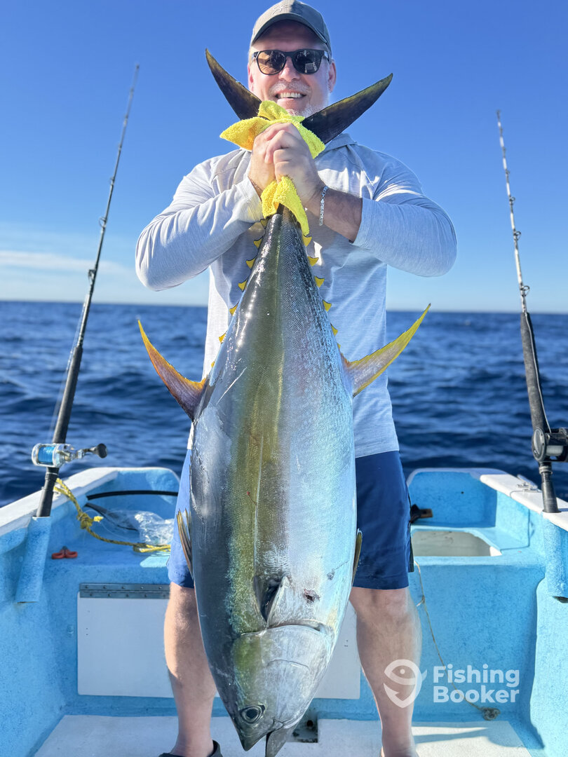 San Jose del Cabo Report Photo 0