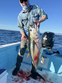 San Jose del Cabo Report Photo 1