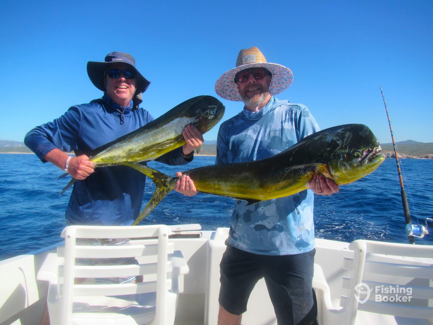 Cabo San Lucas Report Photo 0