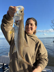 Titusville Report Photo 2