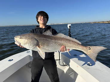 Jacksonville Report Photo 1