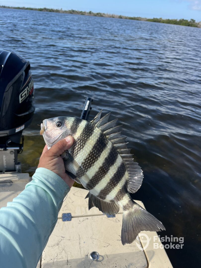 Punta Gorda Report Photo 0