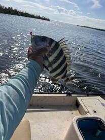 Punta Gorda Report Photo 2