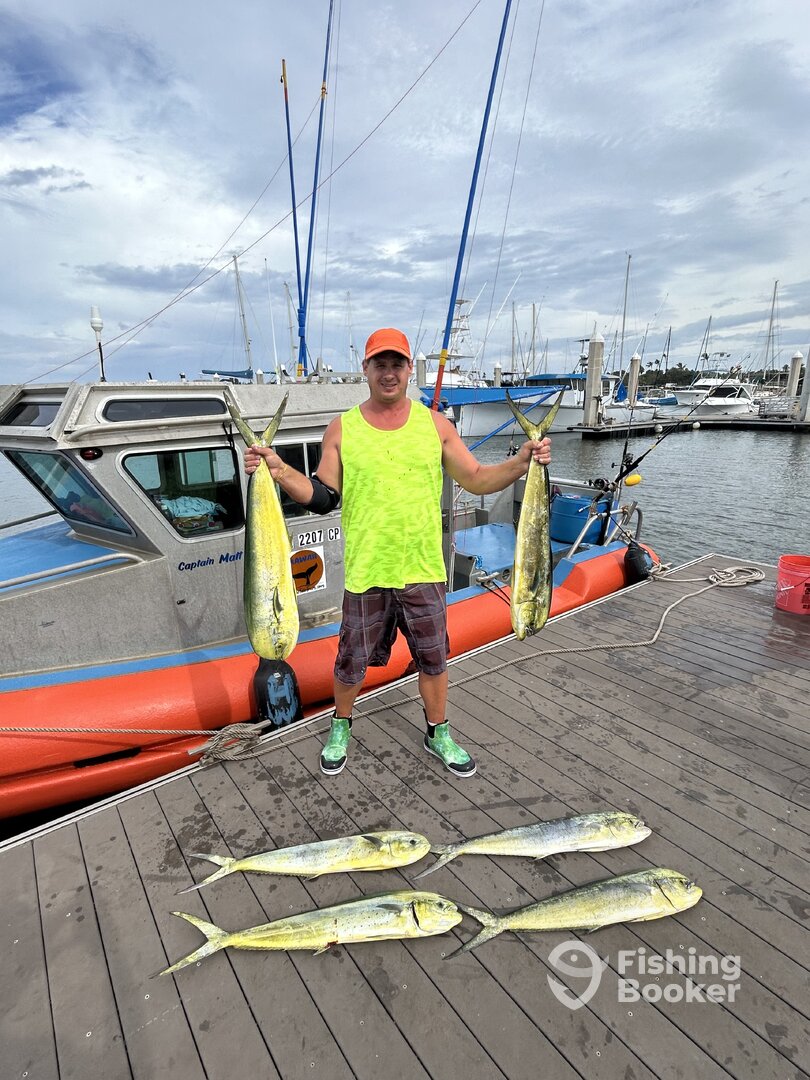 Haleiwa Report Photo 0