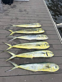 Hawaii Report Photo 2