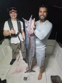 Funchal Report Photo 3