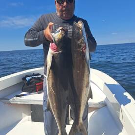 Brooklyn Report Photo 1