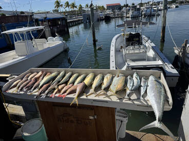 Great action in the shallow water!