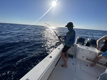 Wahoo and blue marlin!