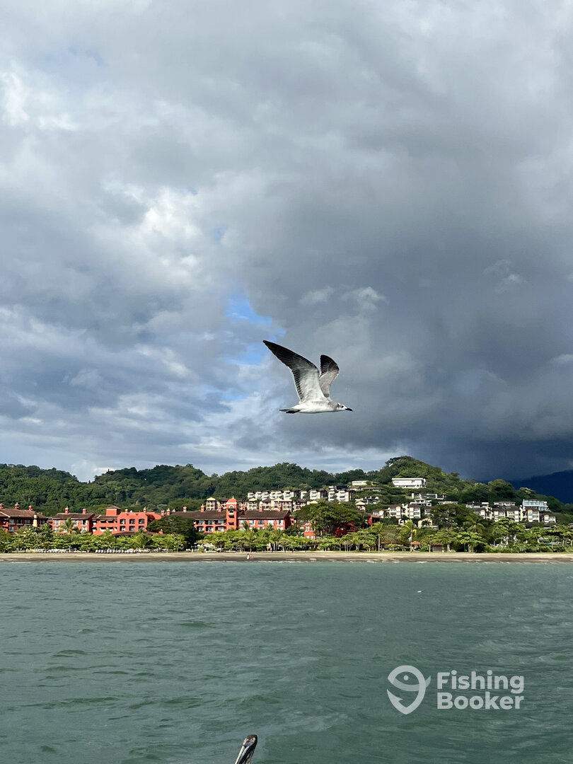 Herradura Report Photo 0