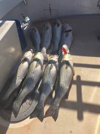 Montauk Report Photo 2