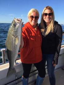 Montauk Report Photo 1
