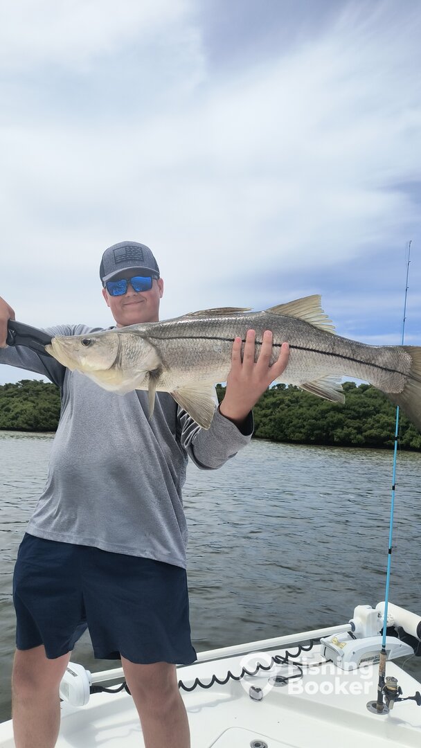 Tampa Bay Report Photo 0