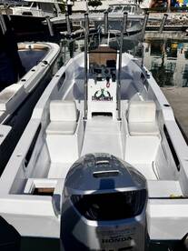 San Jose del Cabo Report Photo 2