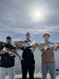 Gibsonton Report Photo 1