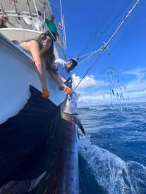 Quepos Report Photo 1