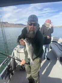 Lake Havasu City Report Photo 4