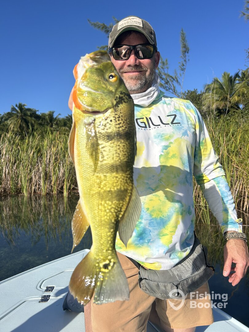 Toa Alta Report Photo 0