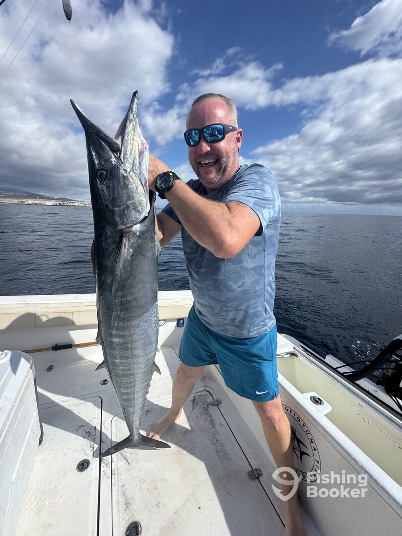 Arona Report Photo 0