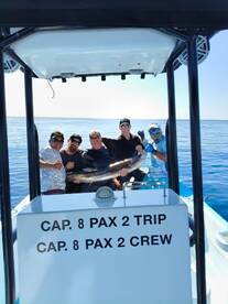 Flat Seas, Big Sailfish