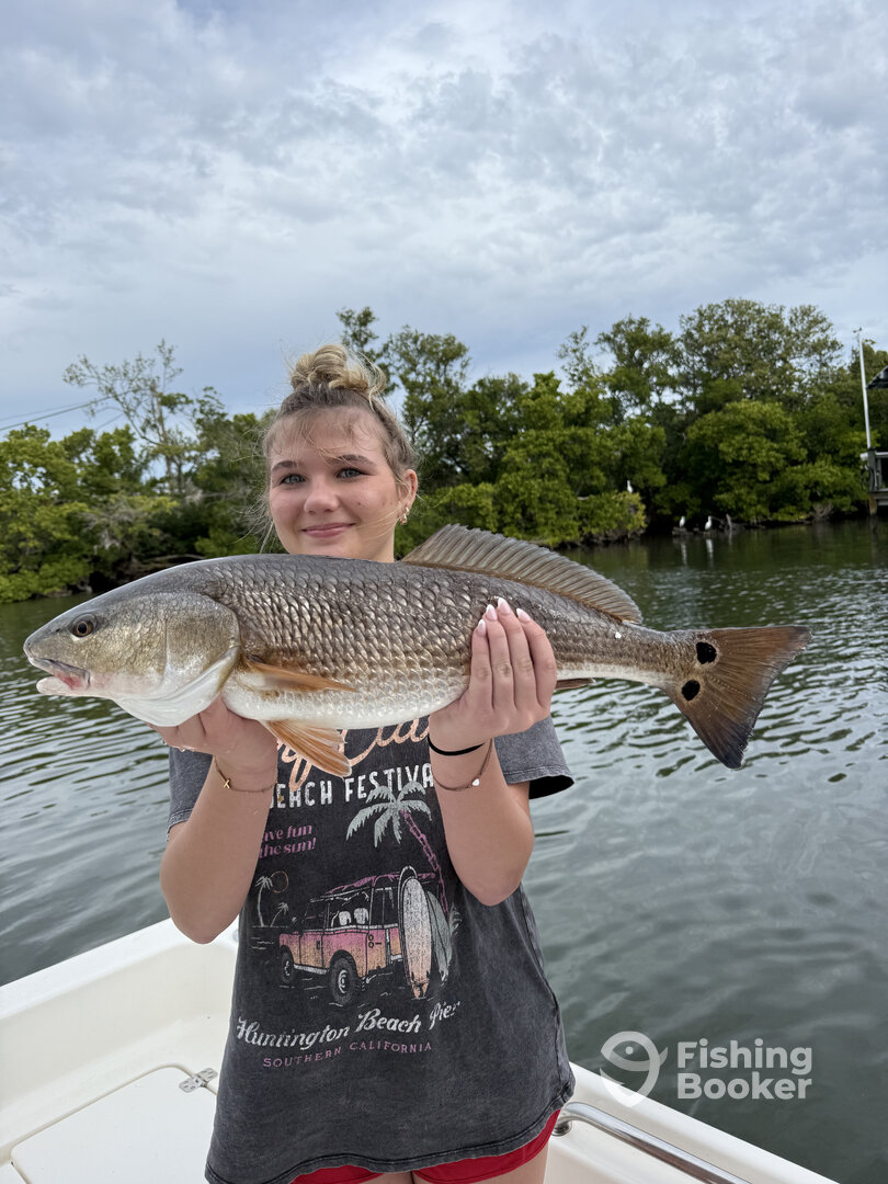 Holmes Beach Report Photo 0