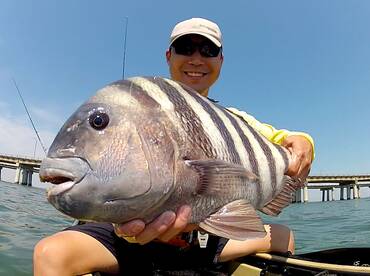 Dec 18 – Peak Sheepshead Season: Clearwa