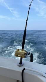 Cartagena de Indias Report Photo 1