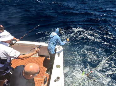 Ambition Report 19th.December’25