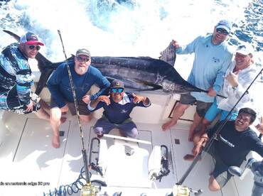 Tuna, Marlin, and Mahi Mahi 