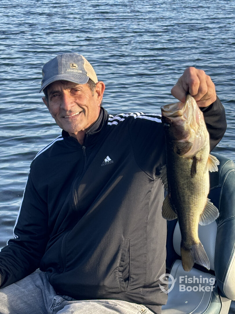 Tarpon Springs Report Photo 0