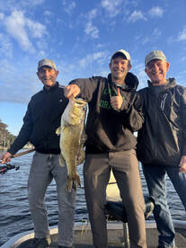 Tarpon Springs Report Photo 2