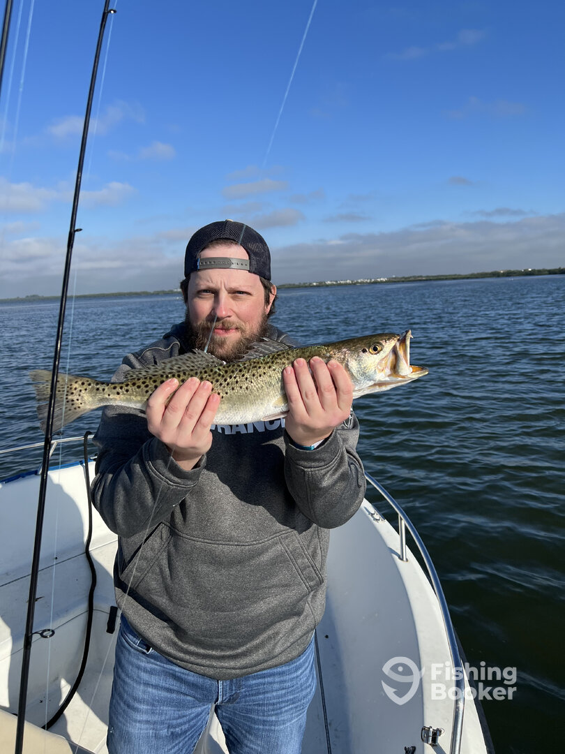 Sarasota Report Photo 0