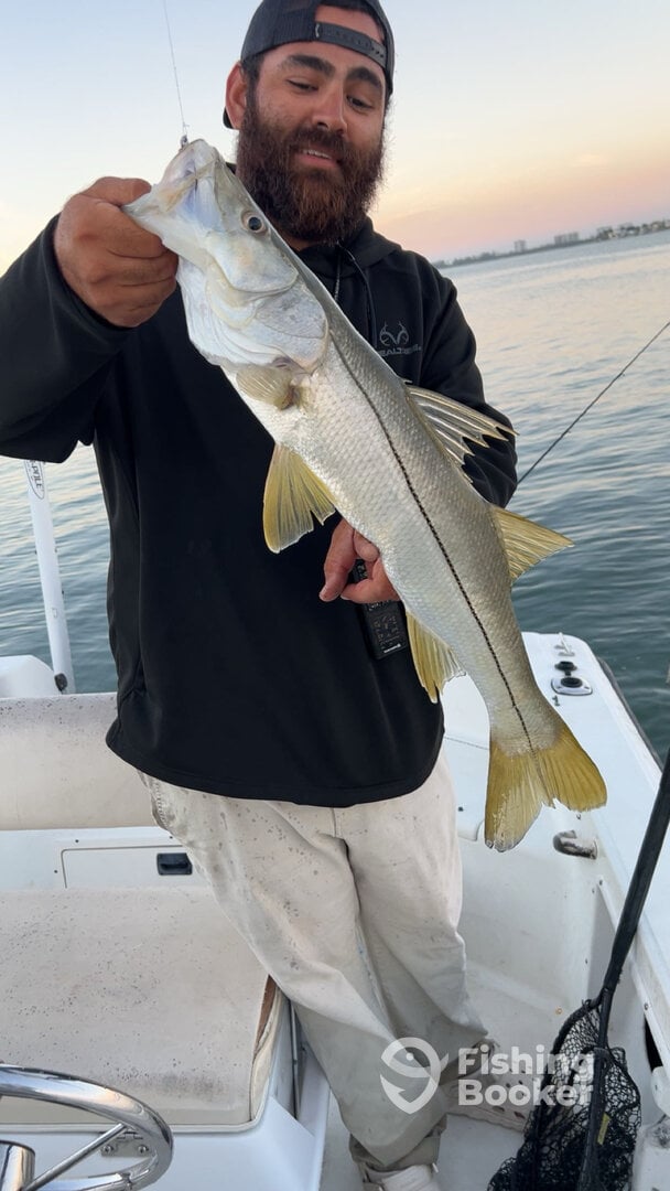 Sarasota Report Photo 0