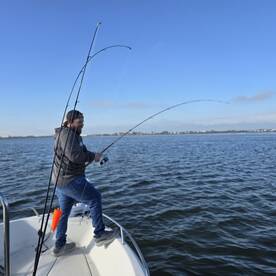 Sarasota Report Photo 1