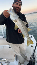 The big 3 are chewing 