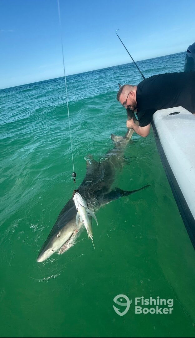 Stock Island Report Photo 0