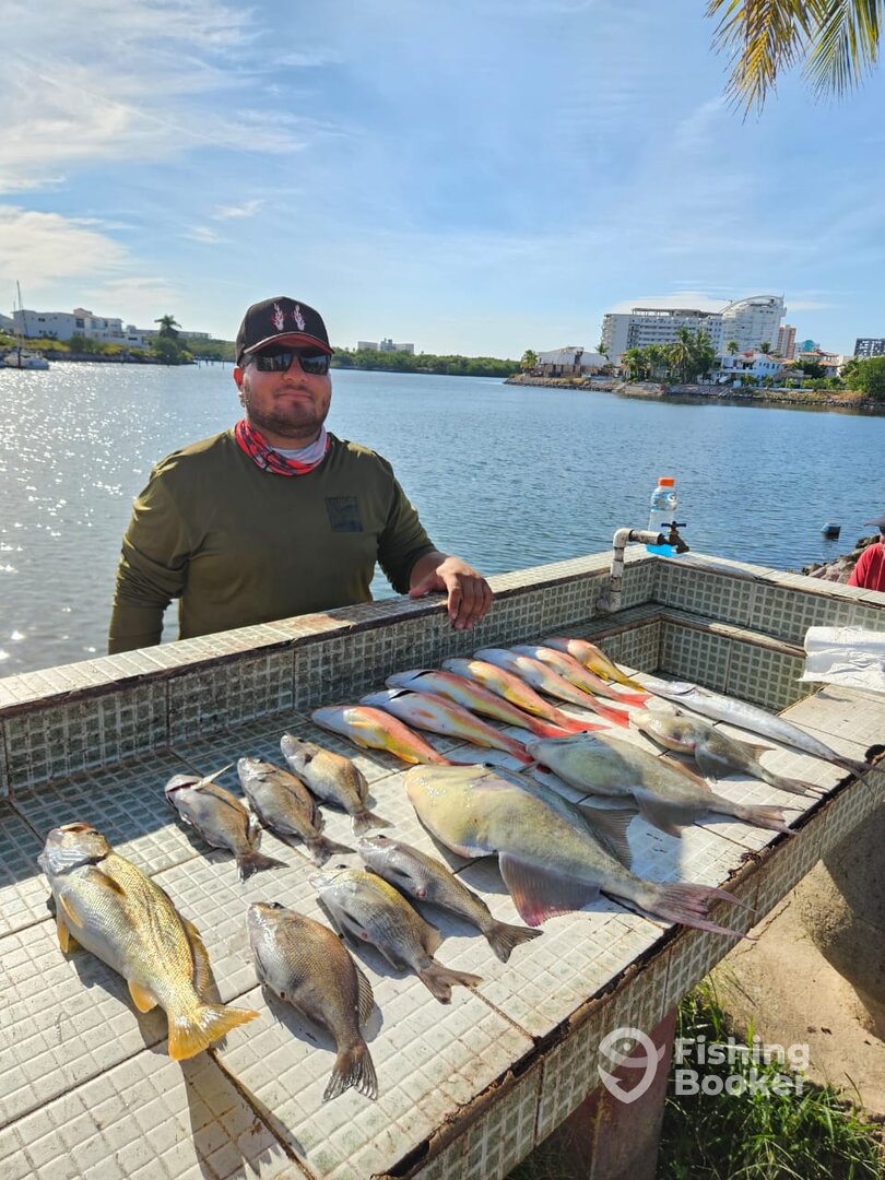 Mazatlán Report Photo 0