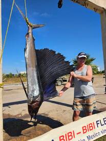 Sinaloa Report Photo 4