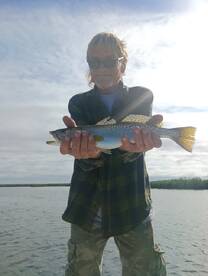 Spring Hill Report Photo 4