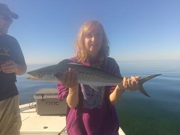 Spring Hill Report Photo 3