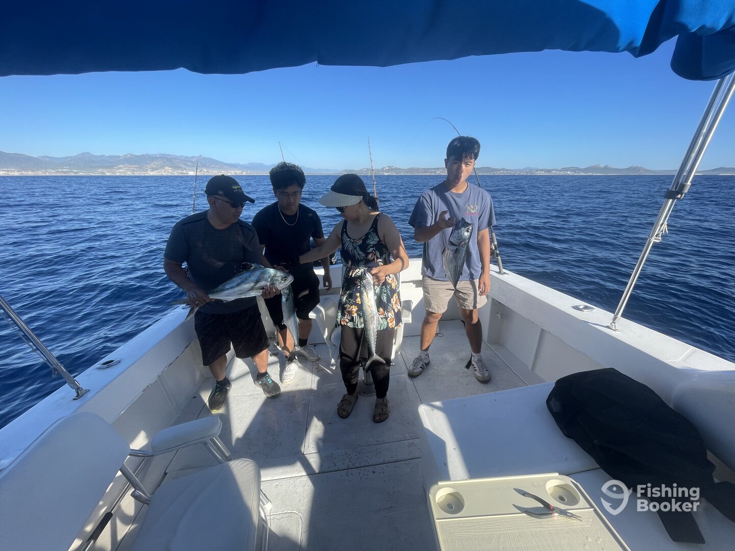 San Jose del Cabo Report Photo 0