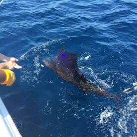 Playa Flamingo Report Photo 1