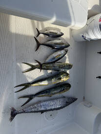 Upper Keys Report Photo 1