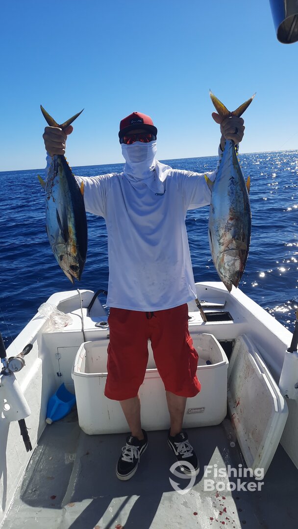 San Jose del Cabo Report Photo 0